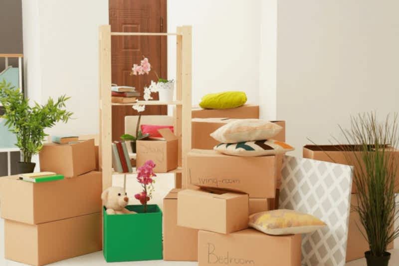 MOVEIN~1 professional home cleaners Calgary