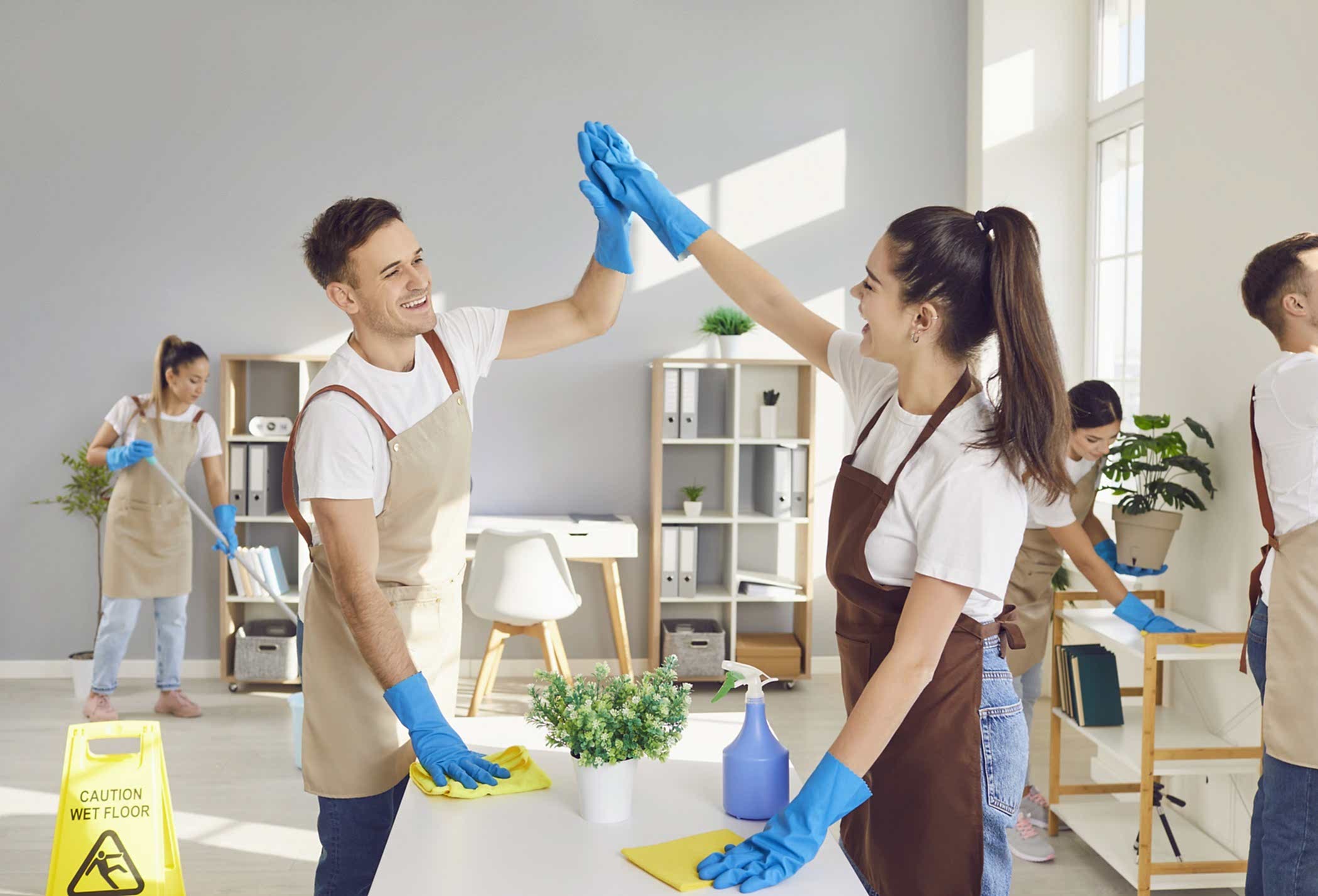 professional home cleaners Calgary